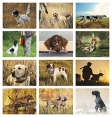Cornwell 2027 Sporting Dogs Calendar — image 2