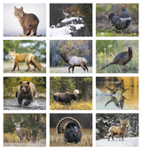 Cornwell 2027 Wildlife Calendar — image 2